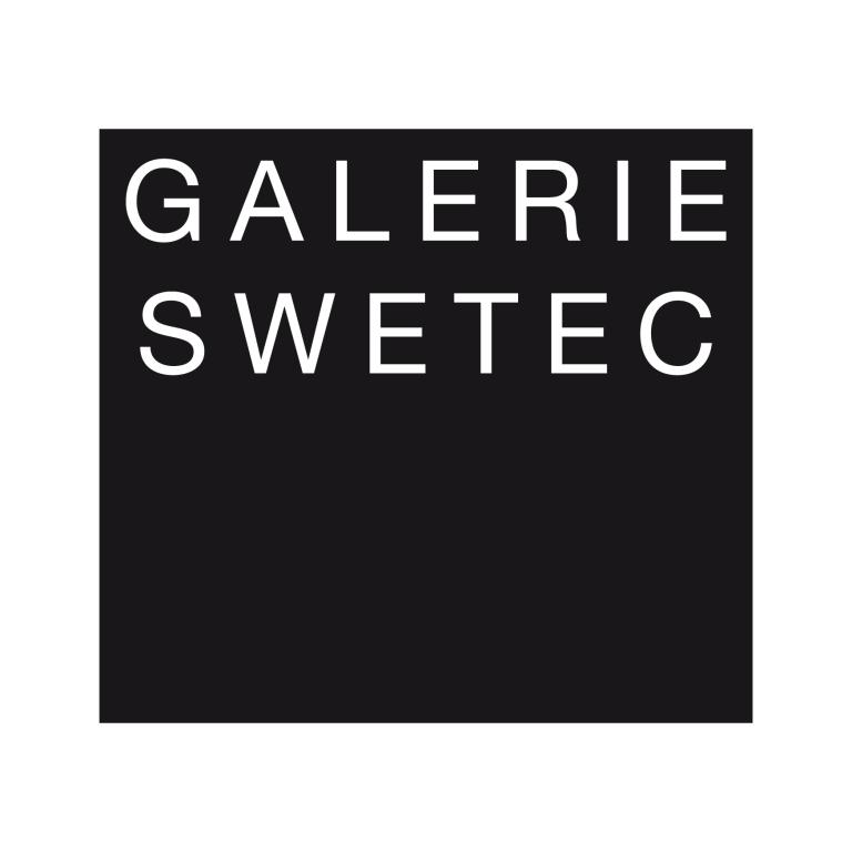 Galerie Franz Swetec Logo