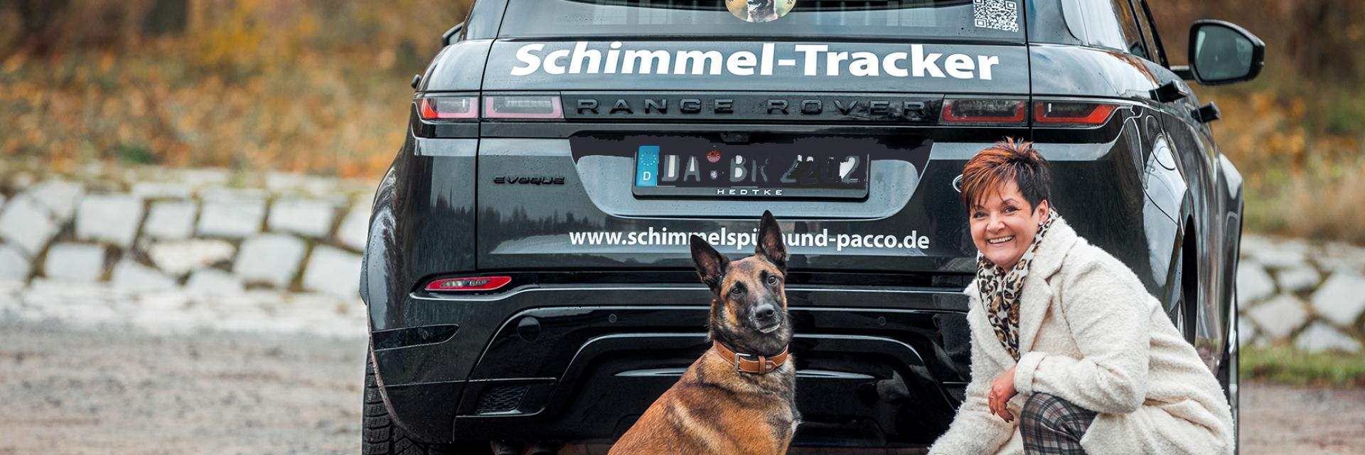 Schimmel-Tracker Bannerbild