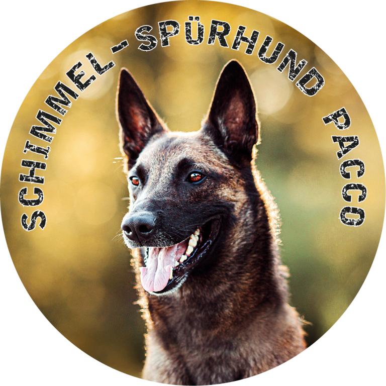 Schimmel-Tracker Logo